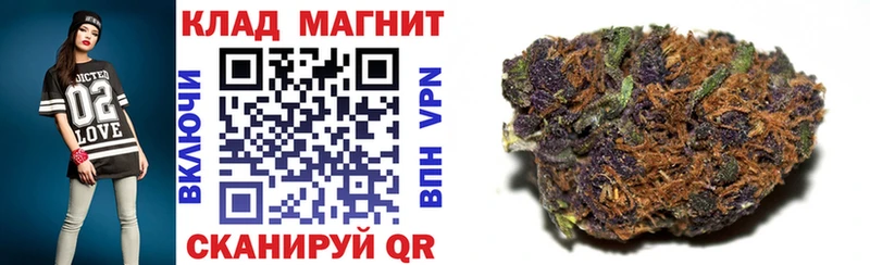 Как найти наркотики Пудож Канабис СОЛЬ ГАШИШ Меф COCAIN