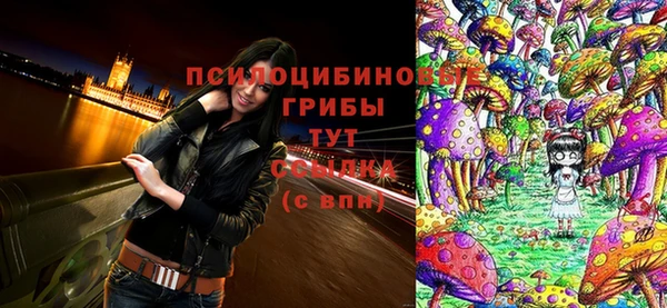 стаф Пролетарск