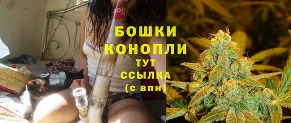 Альфа ПВП Протвино